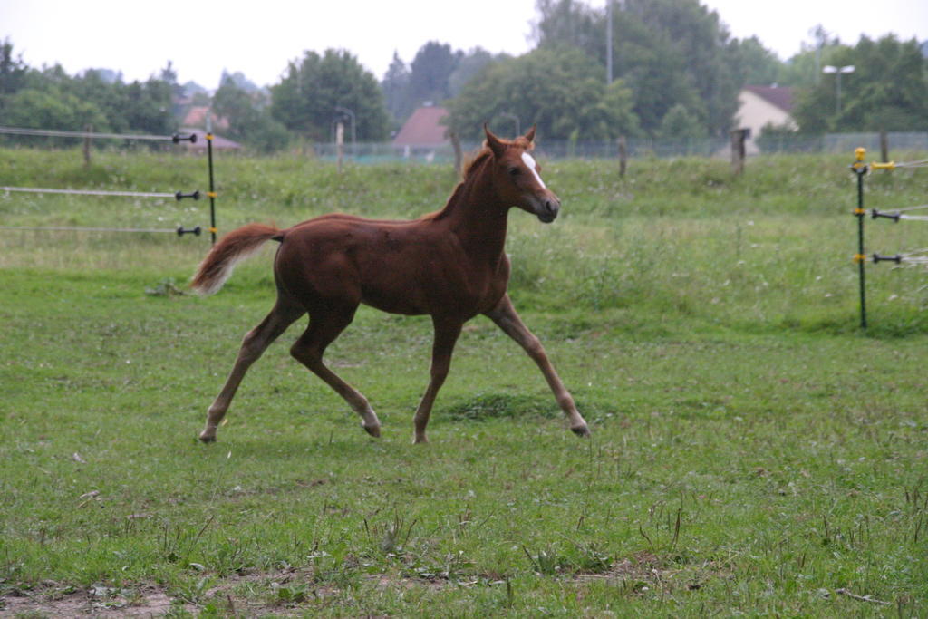 Haag an der Amper Pure Nature Munich - Amper Meadows/Freising מראה חיצוני תמונה
